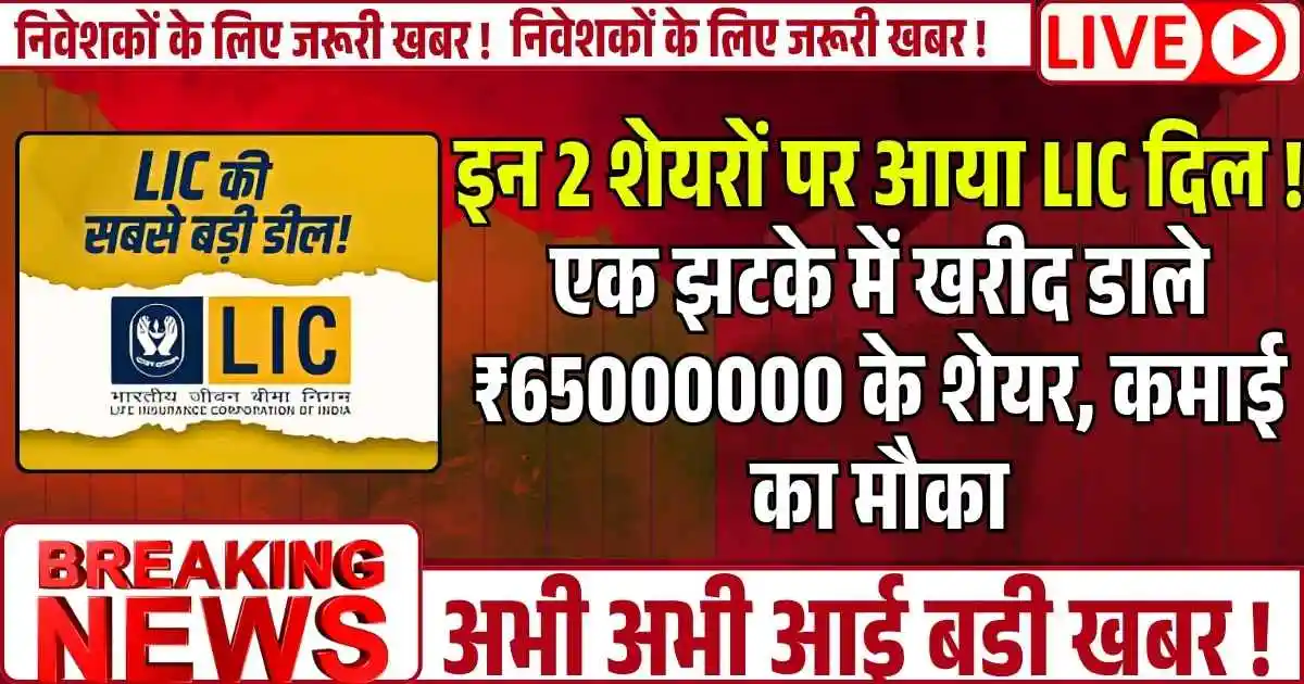 इन 2 शेयरों पर आया LIC दिल ! एक झटके में खरीद डाले ₹65000000 के शेयर, कमाई का मौका